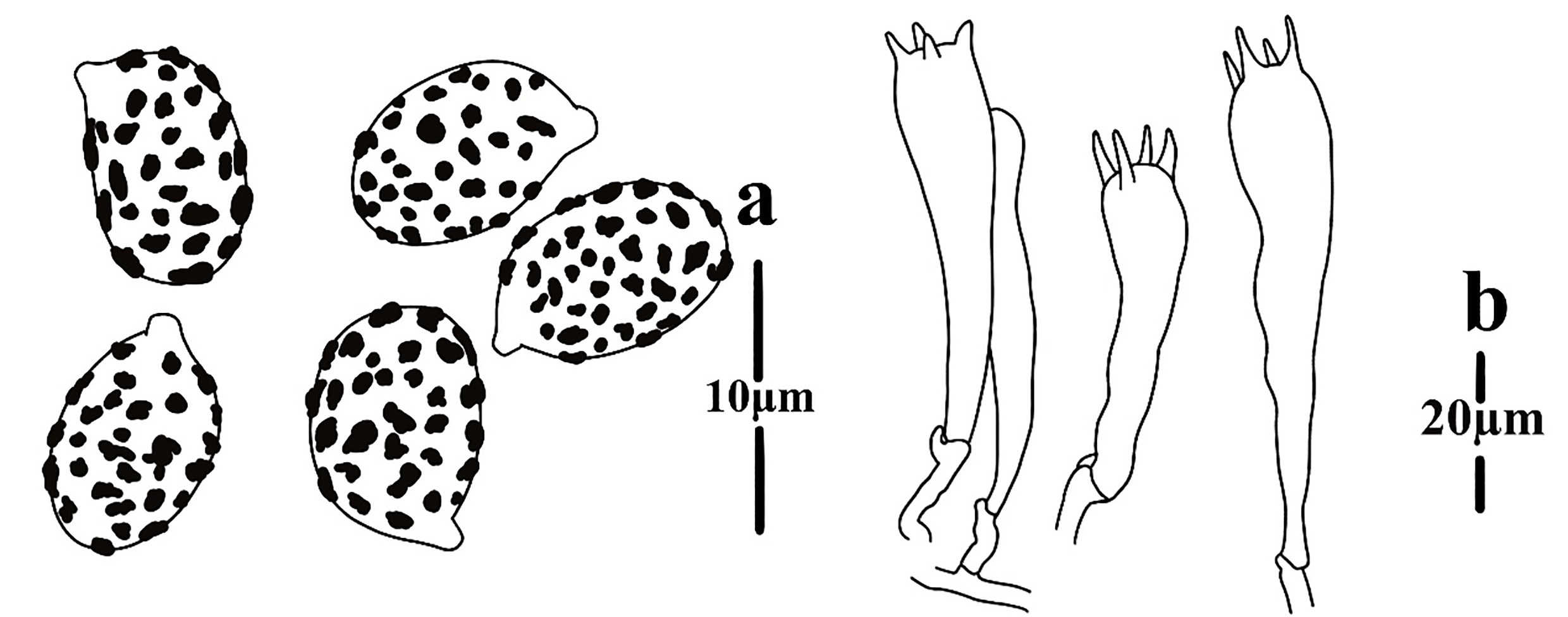 Figure 135